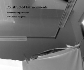 Constructed Environments book cover