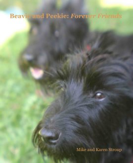 Beavie and Peekie: Forever Friends book cover