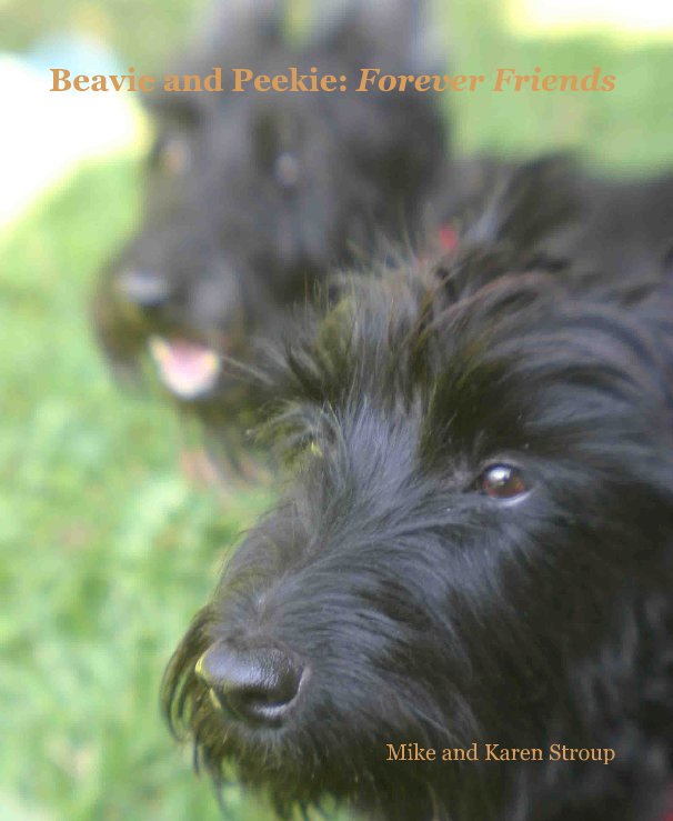 View Beavie and Peekie: Forever Friends by Mike and Karen Stroup