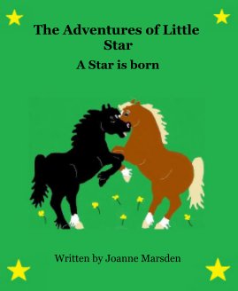 The Adventures of Little Star book cover