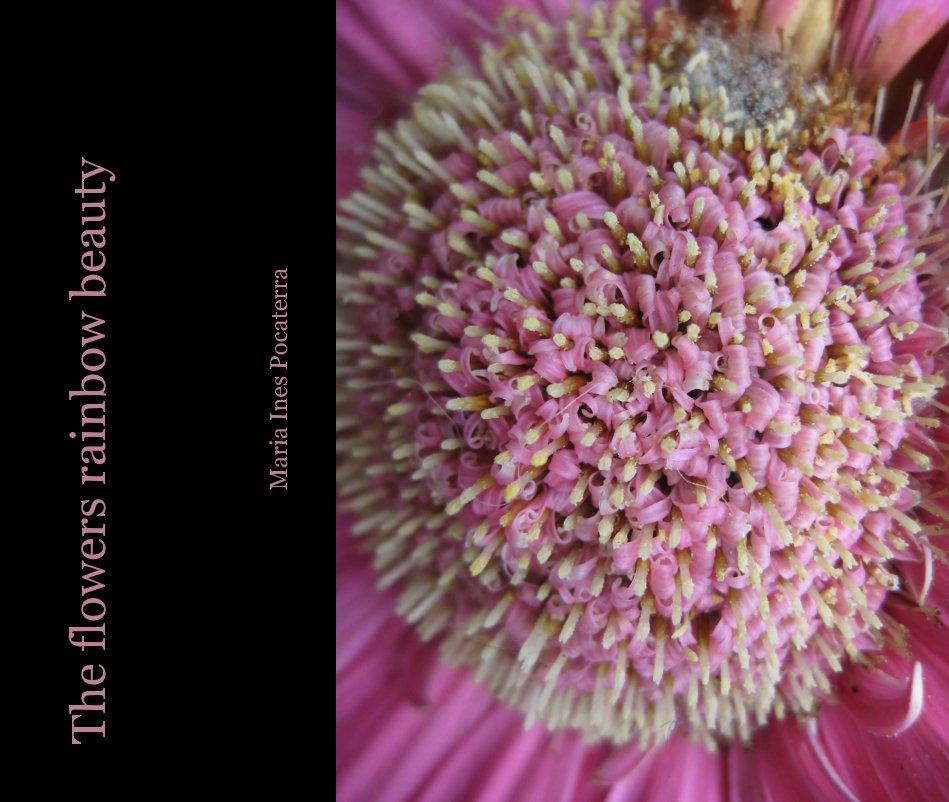 View The flowers rainbow beauty by Maria Ines PocaterraMaria Ines Pocaterra