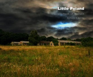 Little Poland book cover