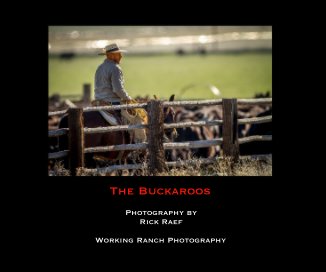 The Buckaroos book cover
