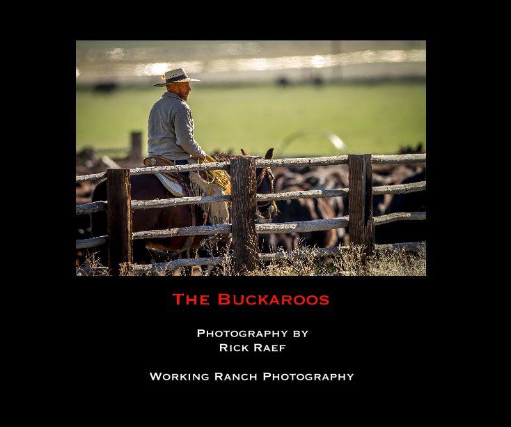 Visualizza The Buckaroos di Richard B. (Rick) Raef