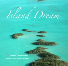 Island Dream book cover