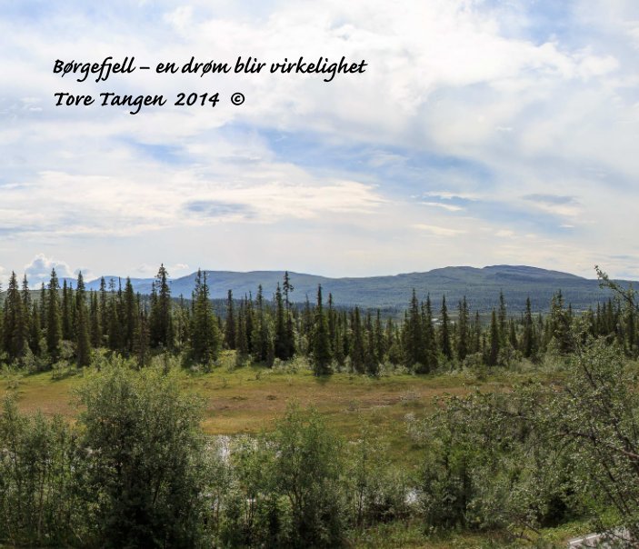 View Børgefjell 2014 by Tore Tangen