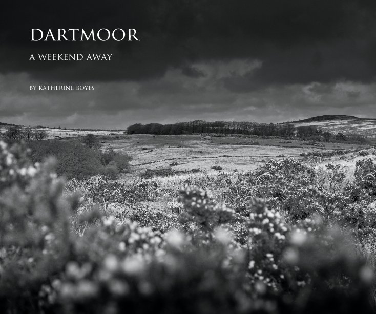 View dartmoor by katherine boyes