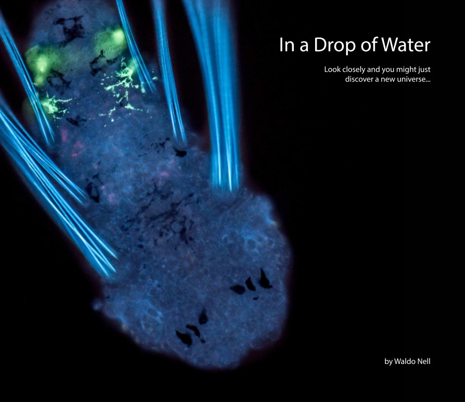 Ver In a Drop of Water por Waldo Nell