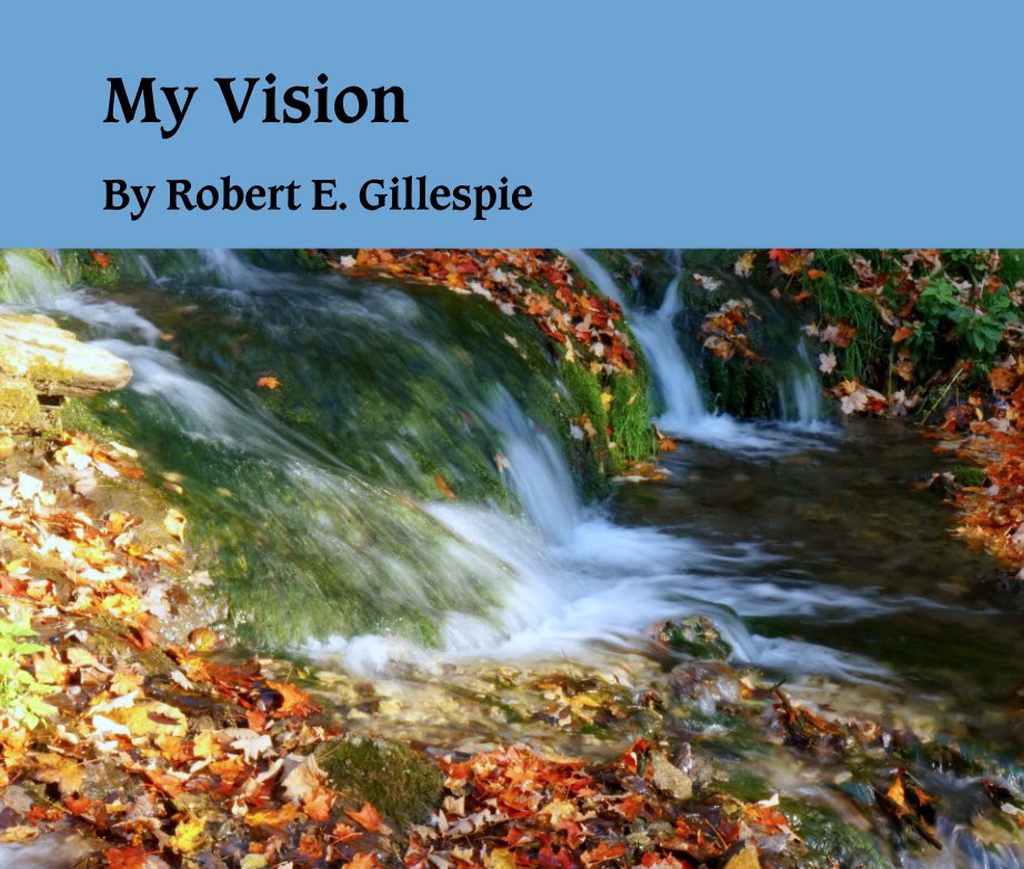 View My Vision by Robert E. Gillespie