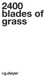2400 Blades of Grass by R G Dwyer book cover
