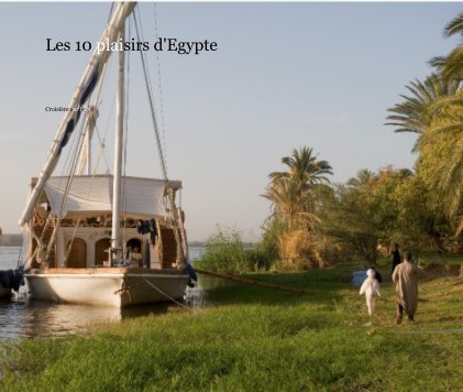 Les 10 plaisirs d'Egypte book cover