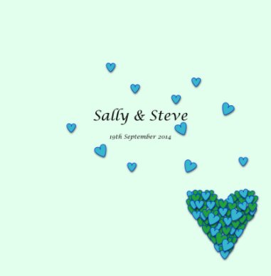 Sally & Steve Main wedding book book cover