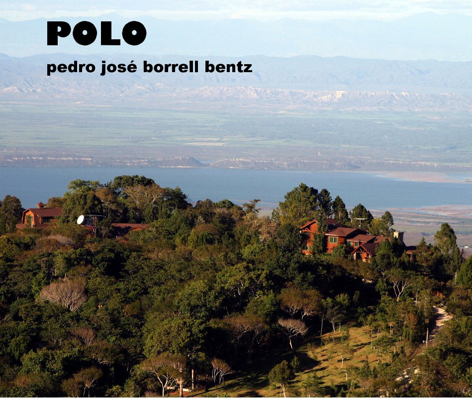 View POLO by pedro josé borrell bentz