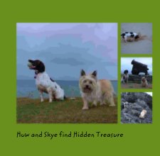 Huw and Skye find Hidden Treasure book cover
