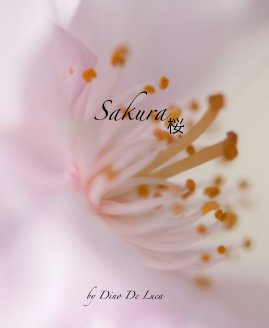 Sakura book cover