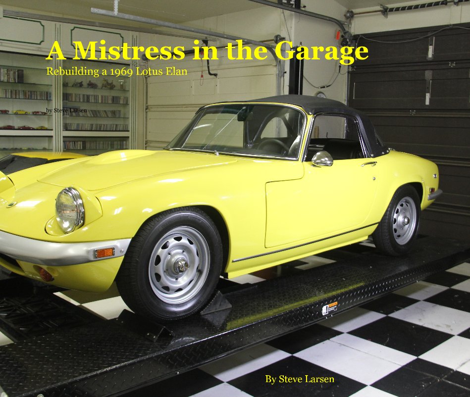 View A Mistress in the Garage by Steve Larsen