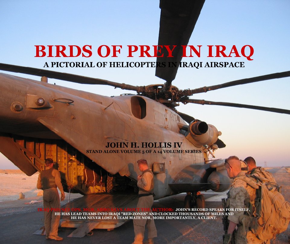 View BIRDS OF PREY IN IRAQ by JOHN H. HOLLIS IV