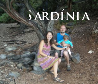 Sardinia 2013 book cover