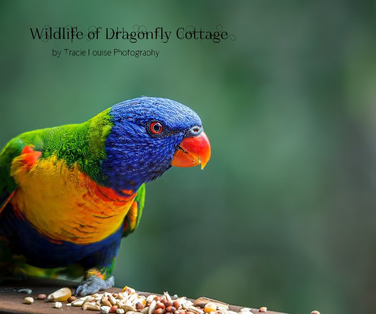 View Wildlife of Dragonfly Cottage by Tracie Louise Photography