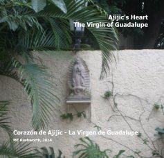 Ajijic's Heart The Virgin of Guadalupe book cover