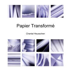 Papier Transformé book cover