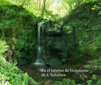 En el interior de Guipúzcoa book cover