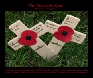THE ELEVENTH HOUR book cover