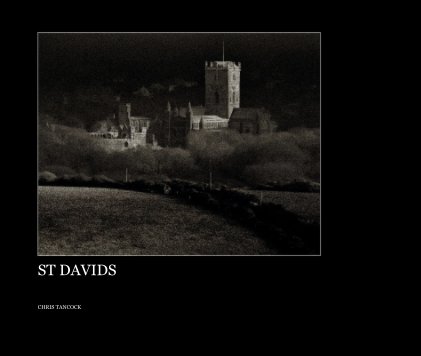 ST DAVIDS book cover