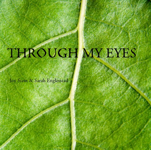 View Through My Eyes by Joy Stein