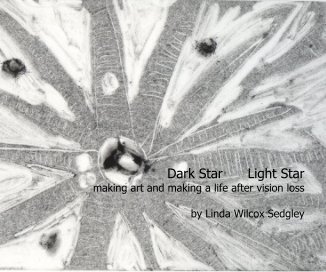 Dark Star Light Star book cover