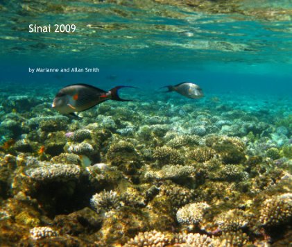 Sinai 2009 book cover