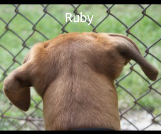 Ruby book cover