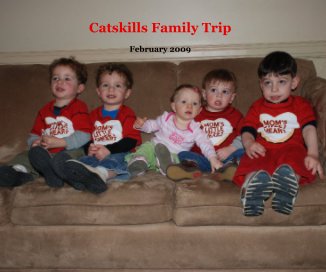 Catskills Family Trip-Softcover book cover