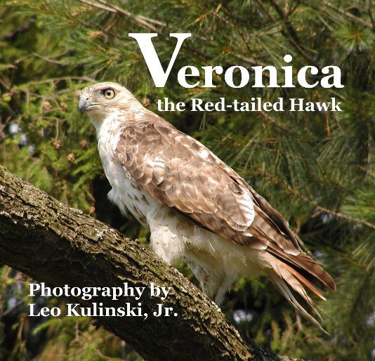 View Veronica the Red-tailed Hawk by Leo Kulinski, Jr.