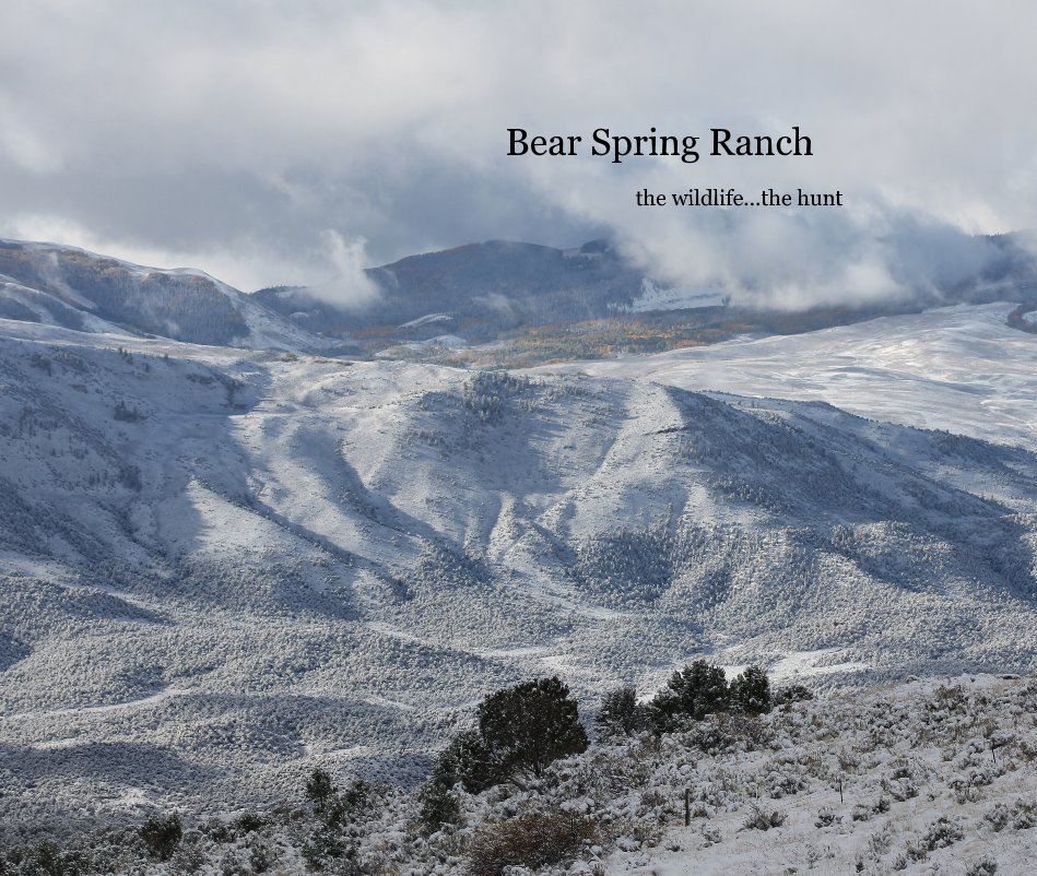 View Bear Spring Ranch the wildlife - the hunt by Chris Moore