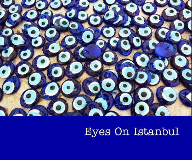 View Eyes On Istanbul by Jill Fenton