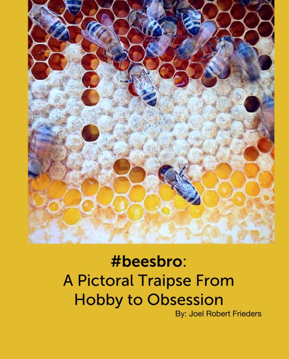 View #beesbro by By: Joel Robert Frieders