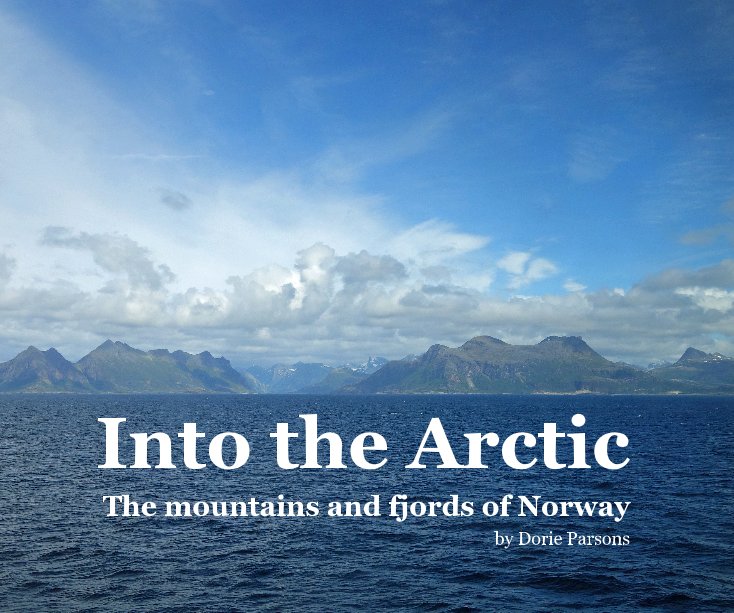 View Into the Arctic by Dorie Parsons