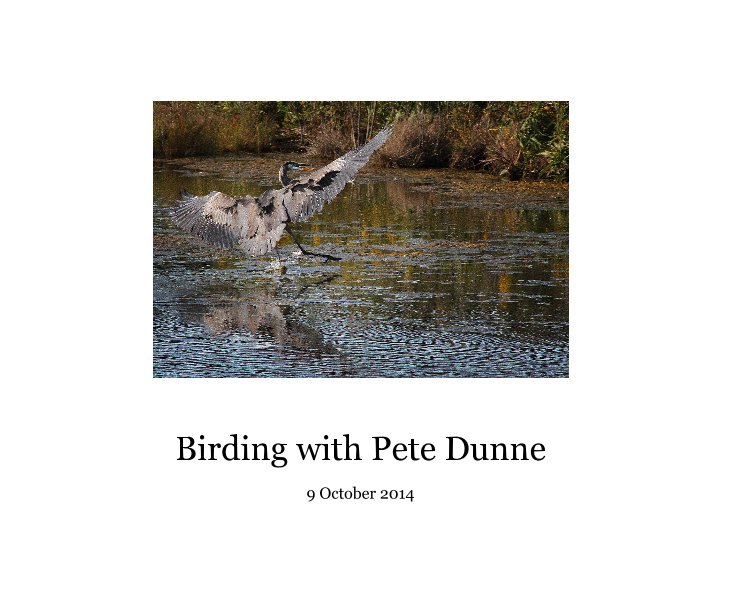View Birding with Pete Dunne by Kristi Eisenberg