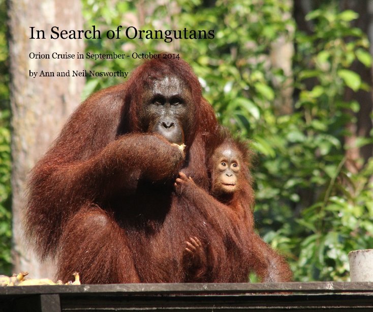 View In Search of Orangutans by Ann and Neil Nosworthy