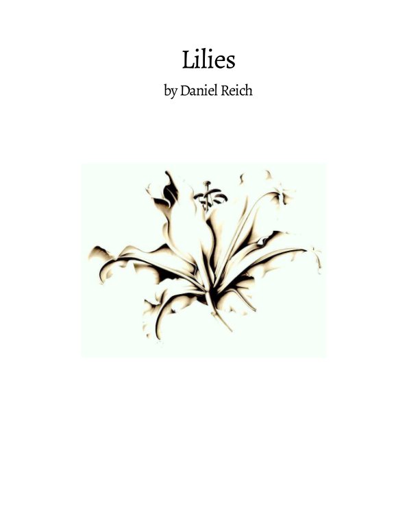 View Lilies by Daniel Reich