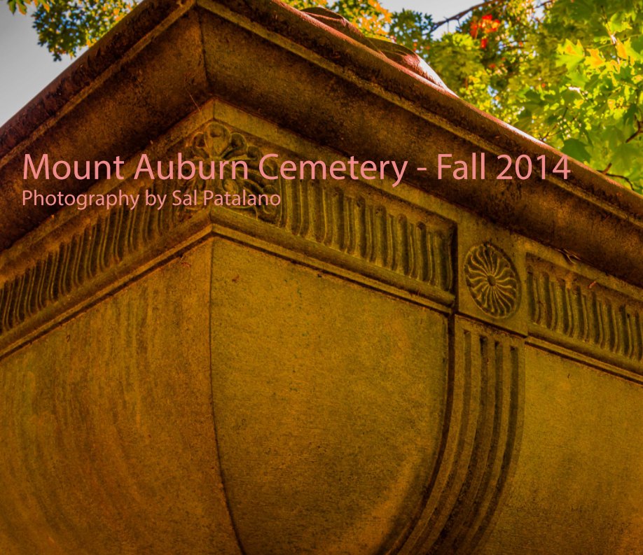Ver Mount Auburn Cemetery por Sal Patalano