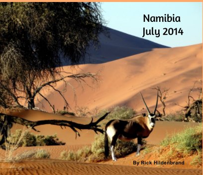 Namibia - July 2014 book cover