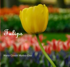 Tulips Maria Citadel MuÃ±oz-Cruz book cover