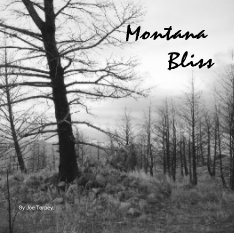 Montana  Bliss book cover
