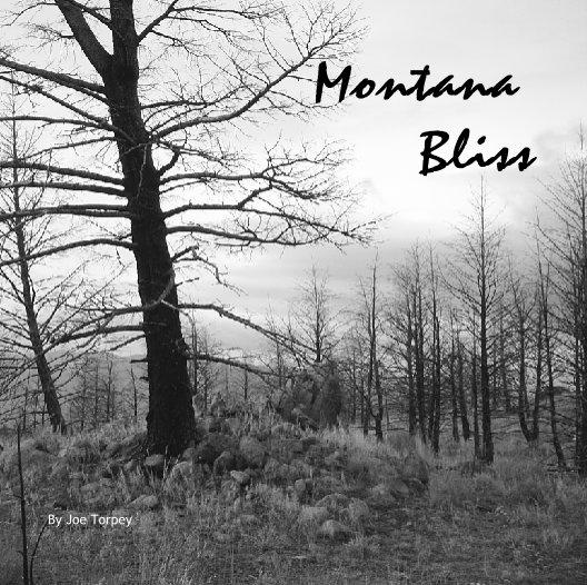 View Montana  Bliss by Joe Torpey