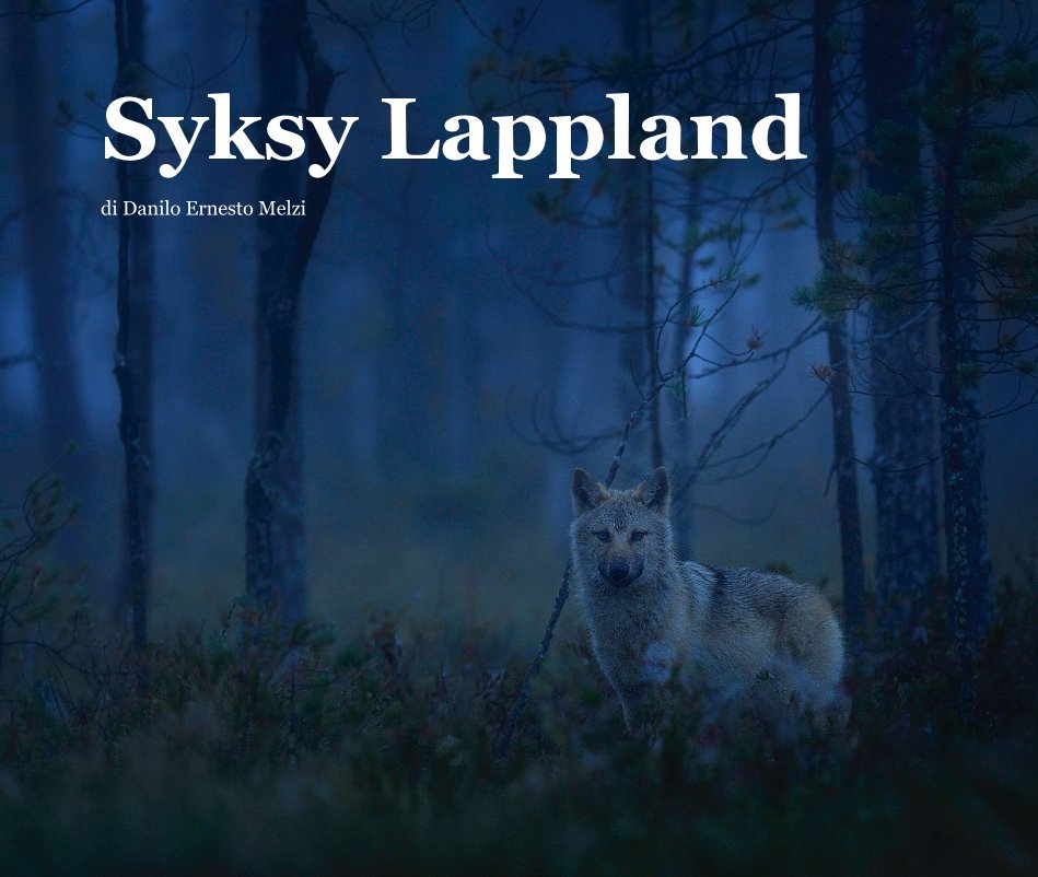 Ver Syksy Lappland por di Danilo Ernesto Melzi