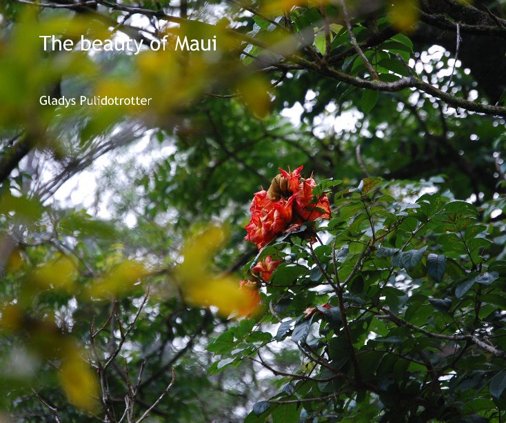 View The beauty of maui by Gladys Pulidotrotter