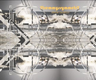 YtremmyssymmetrY book cover