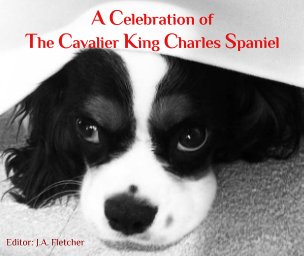 A Celebration of the Cavalier King Charles Spaniel book cover